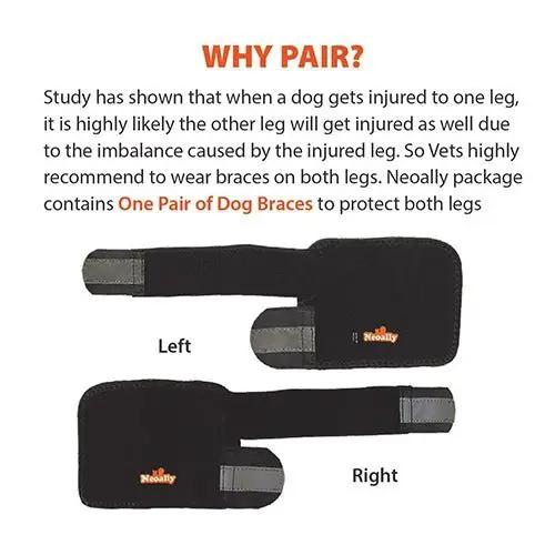 NeoAlly dog front leg braces, pair for left and right legs with reflective straps, black Neoallypets