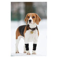 Bild in Galerie-Betrachter laden, NeoAlly Dog Front Leg Braces, pair with reflective straps, black
