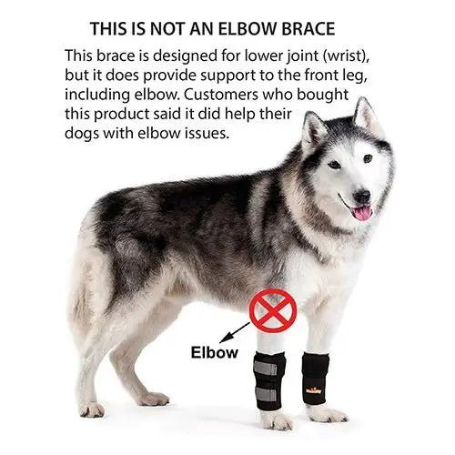 NeoAlly Dog Front Leg Braces with reflective straps, pair, black by Neoallypets