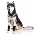 Bild in Galerie-Betrachter laden, NeoAlly Dog Front Leg Braces with Reflective Straps by Neoallypets (Pair), black

