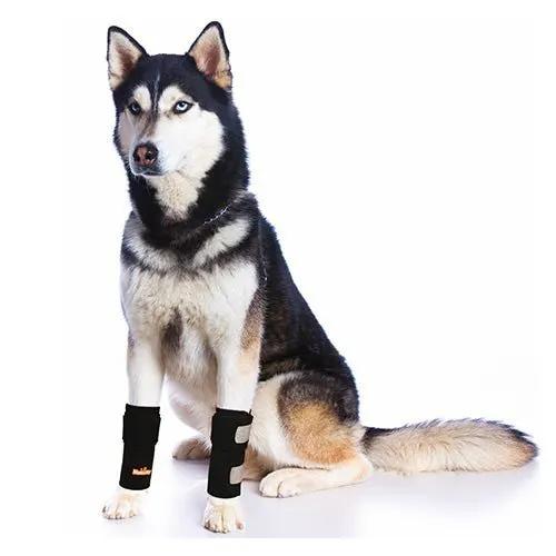 NeoAlly Dog Front Leg Braces with Reflective Straps by Neoallypets (Pair), black