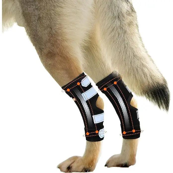 NeoAlly rear leg hock braces with metal spring strips, pair, black with gray straps for large dogs