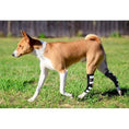 Load image into Gallery viewer, NeoAllypets dog rear leg hock brace with metal spring strips on hind leg, black with white bands
