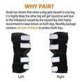 Load image into Gallery viewer, Neoallypets NeoAlly dog rear leg hock brace pair, black with white straps and metal spring strips (left & right)
