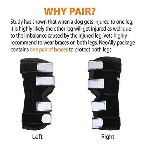 Neoallypets NeoAlly dog rear leg hock brace pair, black with white straps and metal spring strips (left & right)