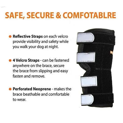 Neoallypets NeoAlly rear leg hock brace for large dogs; black neoprene with 4 white Velcro straps and metal springs, set
