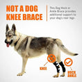 Load image into Gallery viewer, NeoAlly dog rear leg hock brace with metal spring strips, black with white straps, for large dogs (pair)
