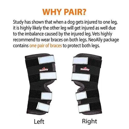Neoallypets dog rear leg hock brace pair, black with white reflective straps, for large dogs, left and right.