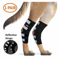 Bild in Galerie-Betrachter laden, Neoallypets NeoAlly dog rear leg hock braces with reflective straps; black fabric and light-blue closures, 1 pair for large dogs

