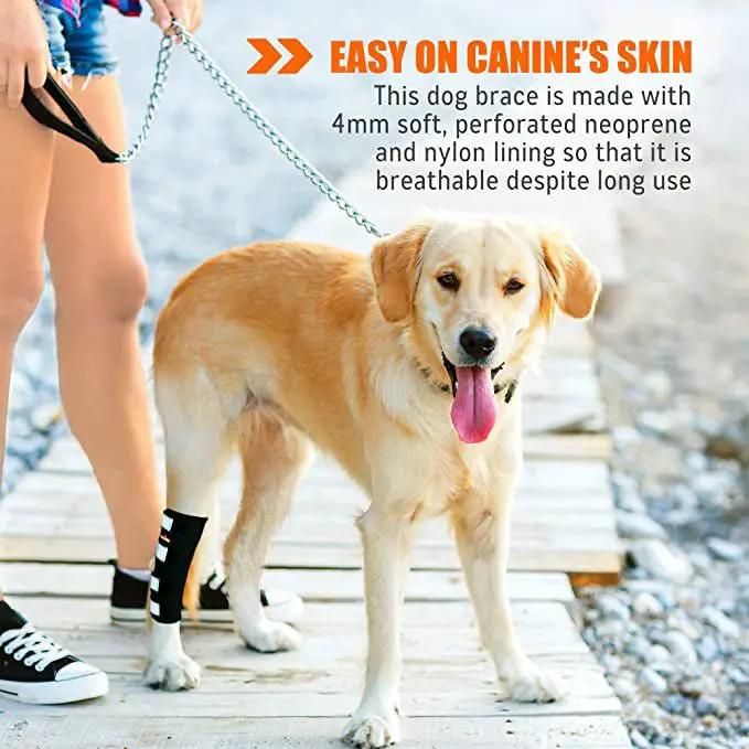 Neoallypets dog rear leg hock brace with safety reflective straps for large dogs
