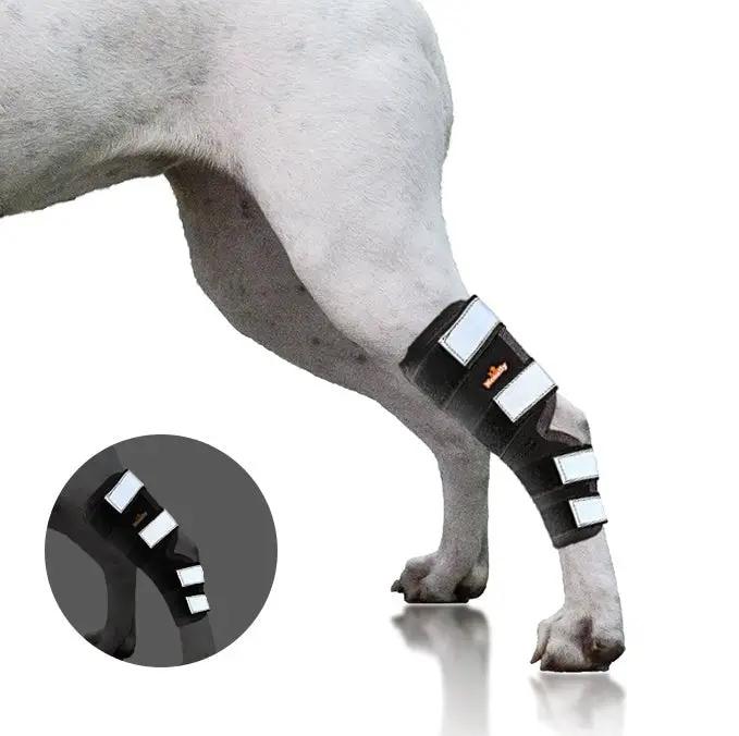 Neoallypets black dog rear leg hock brace with reflective white straps for large dogs