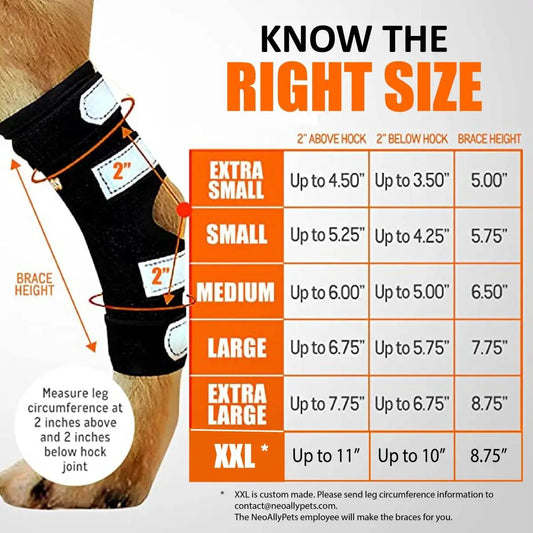 NeoAlly dog rear leg hock brace with reflective straps; black with orange accents, Neoallypets branding for large dogs