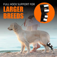 Bild in Galerie-Betrachter laden, Neoallypets dog rear leg hock brace with black fabric and white reflective straps for large breeds
