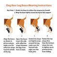 Bild in Galerie-Betrachter laden, NeoAlly dog rear leg hock brace, black with safety reflective straps for large dogs; four-step wearing instructions.
