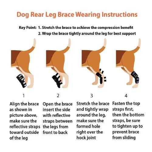 NeoAlly dog rear leg hock brace, black with safety reflective straps for large dogs; four-step wearing instructions.
