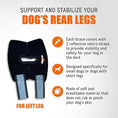 Load image into Gallery viewer, Neoallypets NeoAlly dog rear leg hock brace for left leg with blue straps and reflective Velcro.
