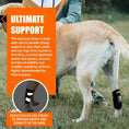 Load image into Gallery viewer, NeoAlly dog rear leg hock brace with reflective Velcro straps for small dogs by Neoallypets, black
