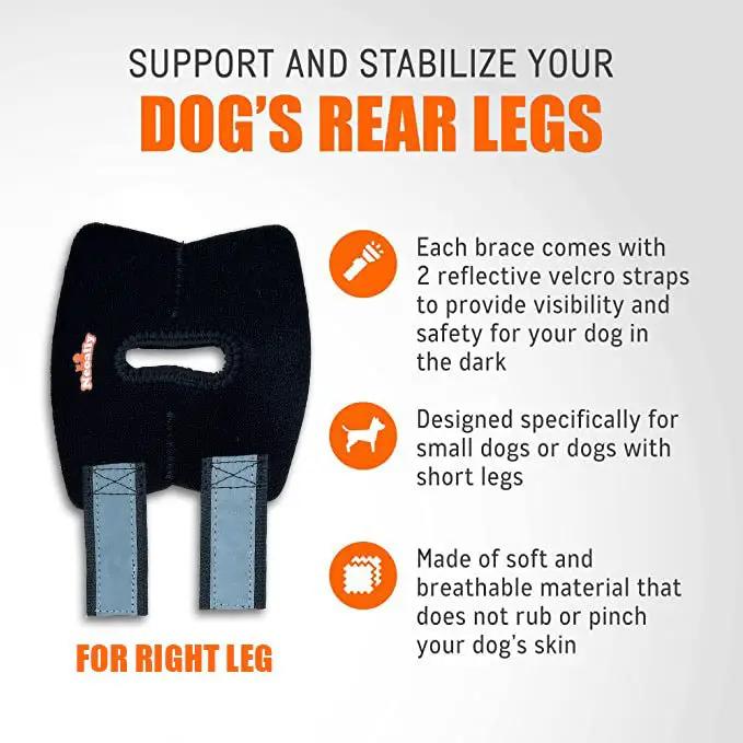 NeoAlly Dog Rear Leg Hock Brace for right leg; black with blue straps and reflective Velcro for visibility