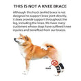 Load image into Gallery viewer, Neoallypets dog rear leg hock brace with reflective straps for small dogs
