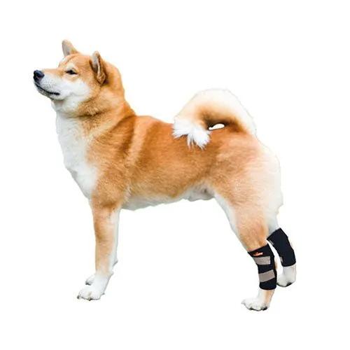 Neoallypets NeoAlly dog rear leg hock brace with reflective straps, black with tan accents
