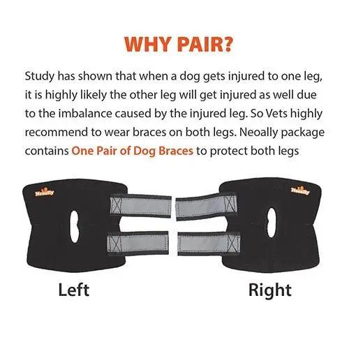 NeoAlly dog rear leg hock brace with reflective straps; black with gray fasteners, left/right pair.