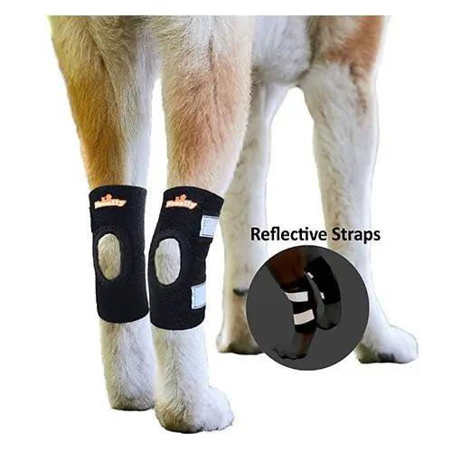 NeoAlly dog rear leg hock braces with reflective straps on both hind legs (black).