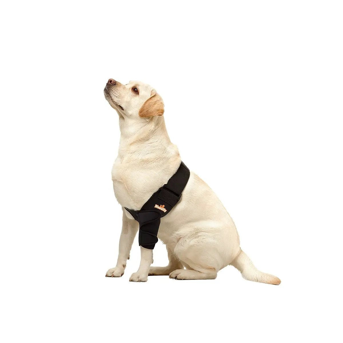 NeoAlly elbow and shoulder brace for dogs and cats, black neoprene strap with Neoallypets logo