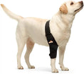 Load image into Gallery viewer, Neoallypets elbow and shoulder brace for dogs and cats on a light-colored dog, black strap with orange logo.
