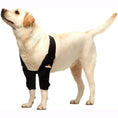 Load image into Gallery viewer, Neoallypets elbow and shoulder brace for dogs and cats with black adjustable straps on a light-colored dog
