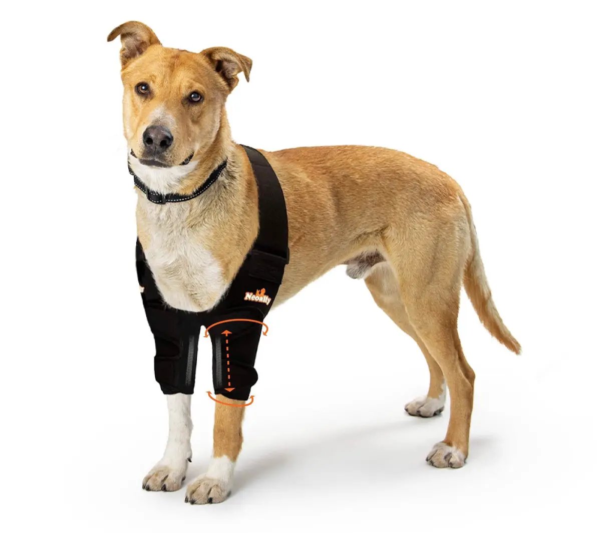 NeoAlly elbow and shoulder brace with spring inserts for dogs and cats on a tan dog; black strap, orange arrows, Neoallypets.