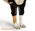 Load image into Gallery viewer, Neoallypets elbow and shoulder brace set for dogs and cats, black fabric with coiled spring inserts on both legs
