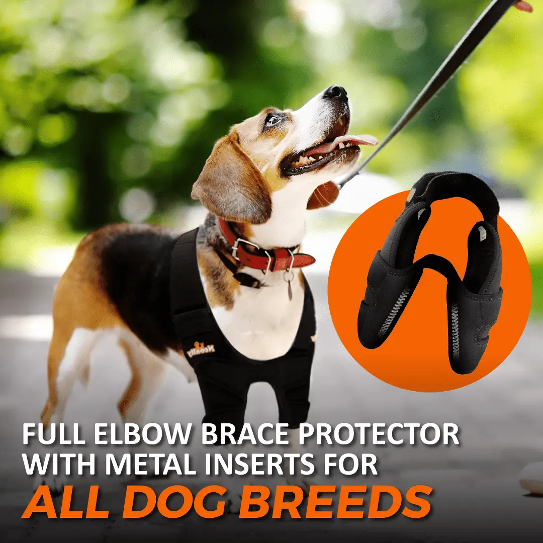 NeoAlly elbow and shoulder brace for dogs and cats with spring inserts; black wrap
