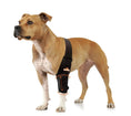 Load image into Gallery viewer, NeoAlly elbow and shoulder brace for dogs and cats, black fabric with spring inserts by Neoallypets
