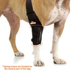 Load image into Gallery viewer, Neoallypets elbow and shoulder brace for dogs and cats on front leg with spring inserts, black nylon and Velcro straps
