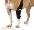 Load image into Gallery viewer, Neoallypets Elbow and Shoulder Brace, black with spring inserts for dogs and cats
