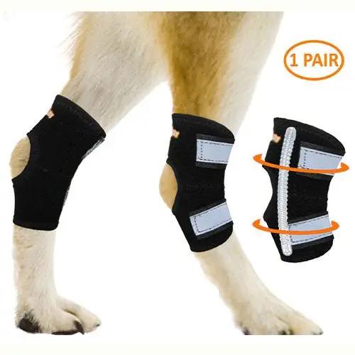 NeoAlly Rear Leg Hock Brace for small dogs, pair; black fabric with gray straps and metal spring, Neoallypets