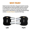 Load image into Gallery viewer, NeoAllyPets rear leg hock braces for small dogs; black with white straps, pair (Left/Right)

