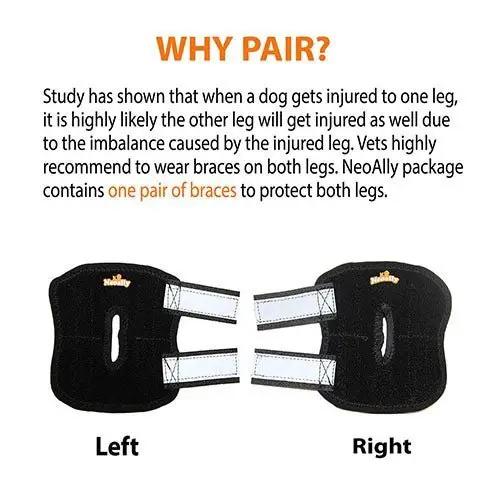 NeoAllyPets rear leg hock braces for small dogs; black with white straps, pair (Left/Right)