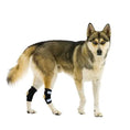 Load image into Gallery viewer, NeoAlly Rear Leg Hock Brace pair for small dogs with black straps and metal spring strips
