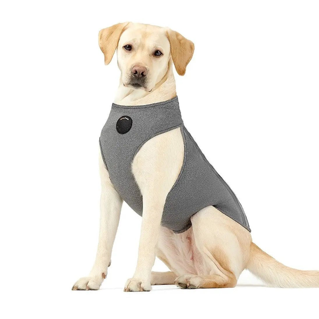 Dog surgical recovery vest NeoAlly Upgraded in gray fabric by Neoallypets