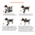 Load image into Gallery viewer, Neoallypets NeoAlly Upgraded Dog Surgical Recovery Vest; four-step fitting guide shown on a plush gray dog.
