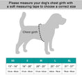 Load image into Gallery viewer, NeoAlly Upgraded Dog Surgical Recovery Vest by Neoallypets; chest girth measurement guide and XS-XL size chart
