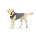 Load image into Gallery viewer, NeoAlly Upgraded Dog Surgical Recovery Vest in gray.
