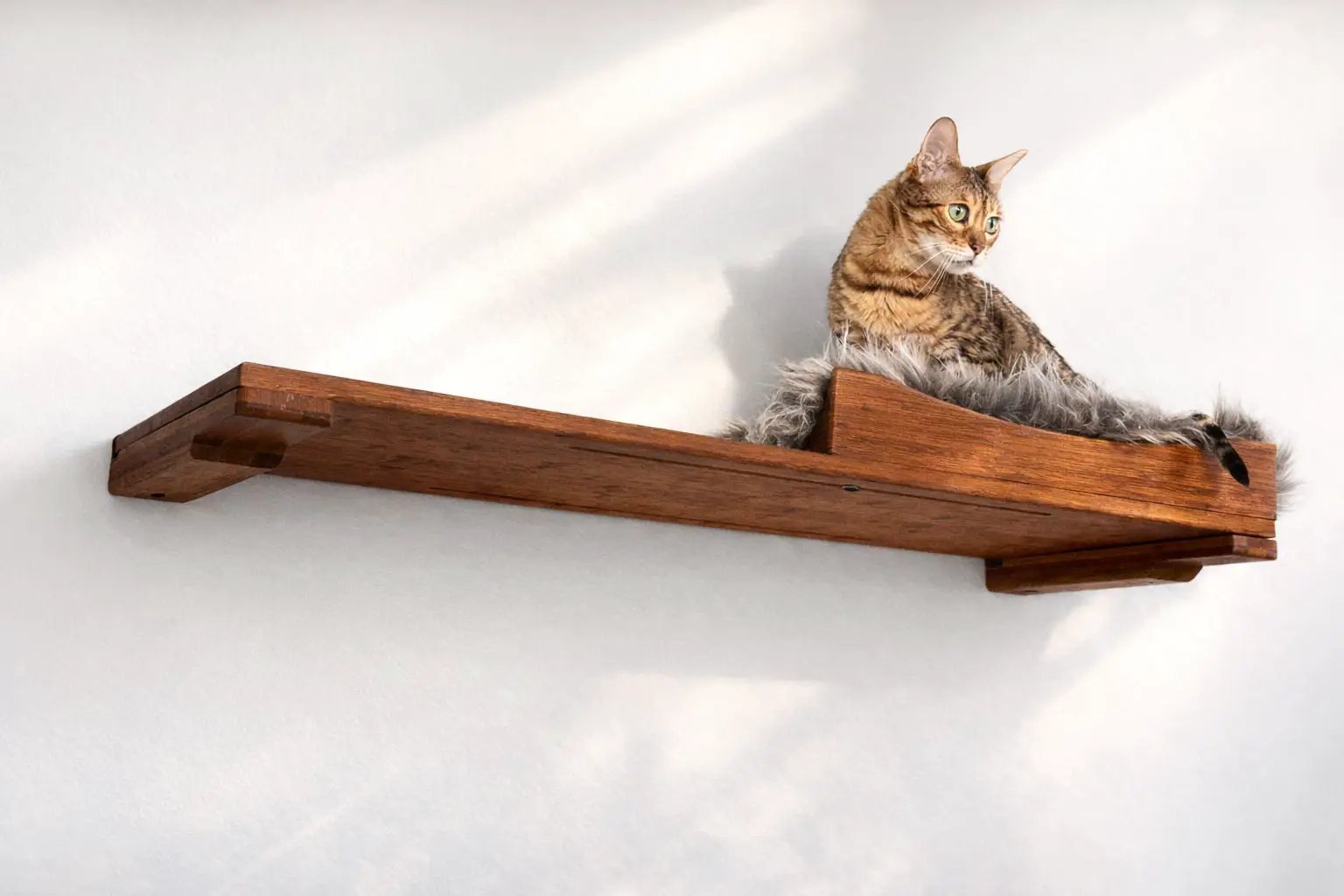 Cat Nest Bed by Catastrophic Creations on a wooden cat perch; a tabby cat lounges in the fur-lined nest.