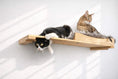 Load image into Gallery viewer, The Cat Nest Bed cat shelf in natural wood with two lounging cats.

