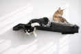 Load image into Gallery viewer, The Cat Nest Bed cat shelf by Catastrophic Creations, black wooden perch with faux fur cushion and two cats.
