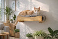 Load image into Gallery viewer, The Cat Nest Bed on a natural wood cat shelf with soft gray faux fur lining, by Catastrophic Creations.
