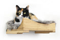 Load image into Gallery viewer, Cat Nest Bed by Catastrophic Creations; wooden cat shelf with plush gray fur lining and a calico cat resting
