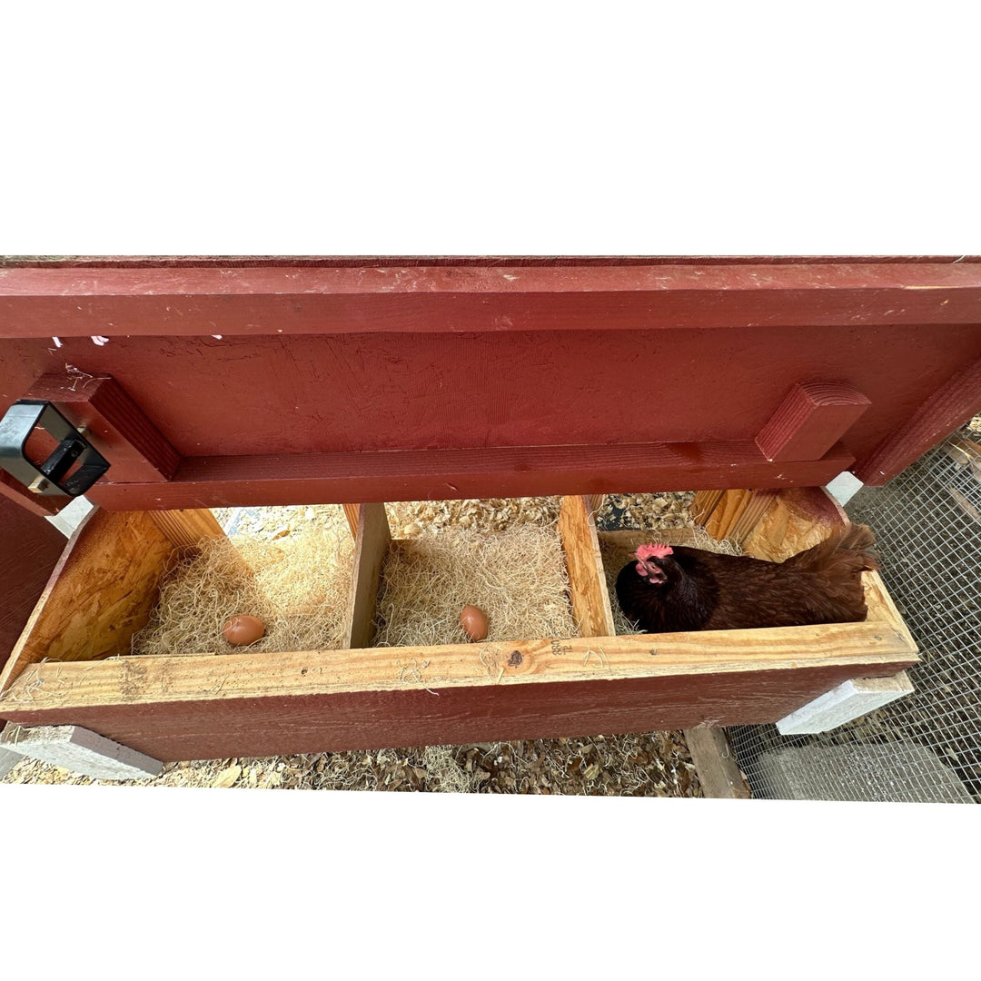 Medium Chicken Coop - Up to 10 Chickens