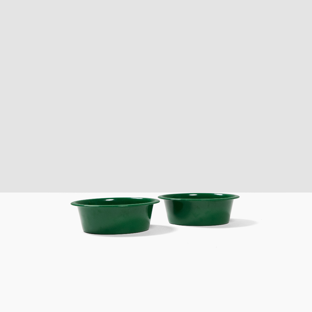 Hiddin Stainless Steel Pet Bowls – Set of 2